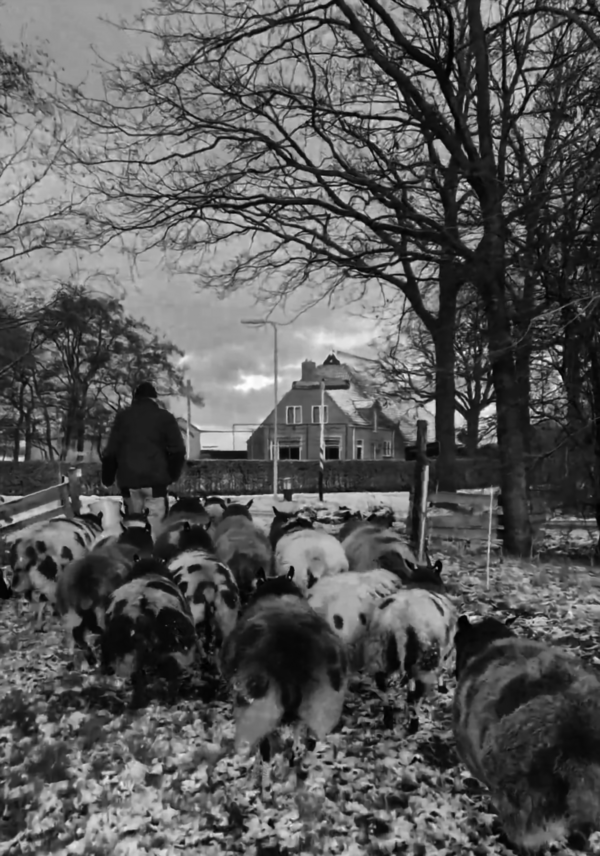 binnenkant-kaart-bew
