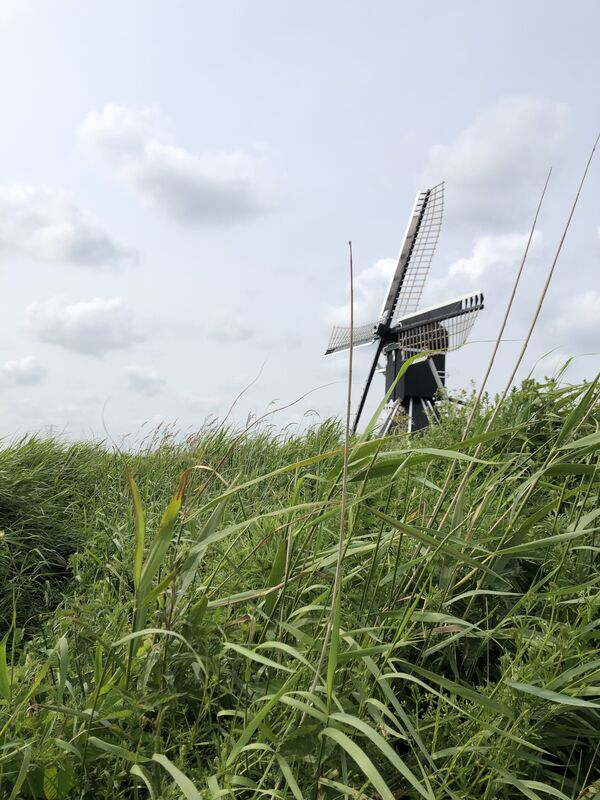 mellemolen