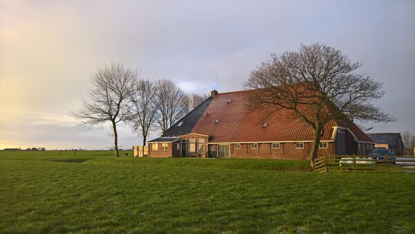 wp20170115093909rich